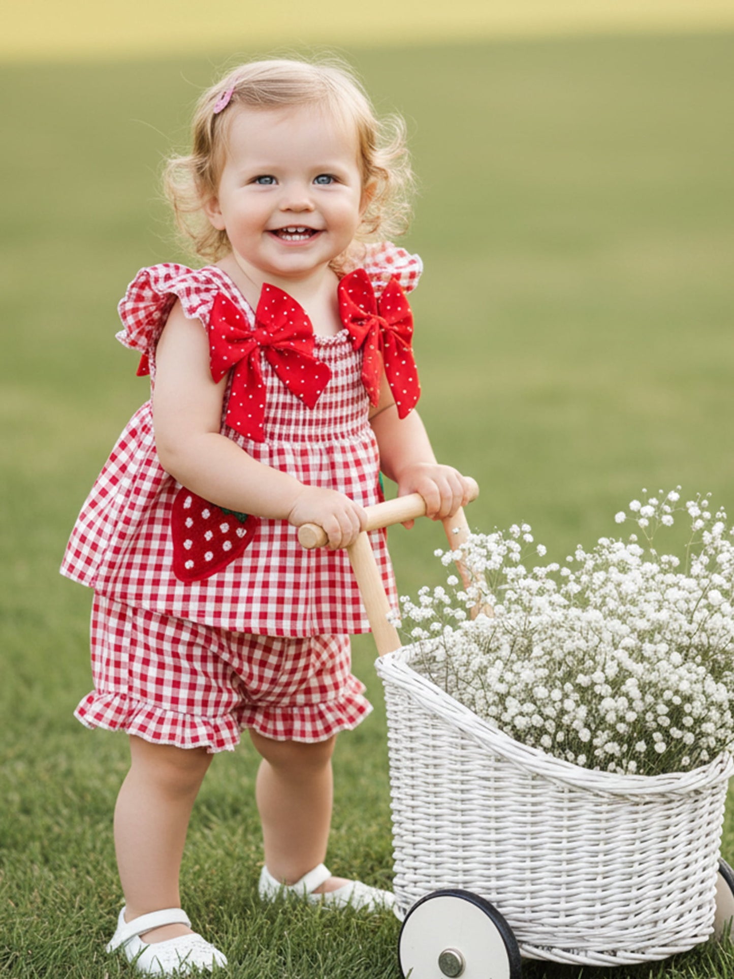 Loicainy Toddler Baby Girl Summer Outfit 6 9 12 18 24 Months 2T 3T Strawberry Embroidered Plaid Bows Ruffled Trim Tank Tops and Shorts 2 Pcs Clothes Set