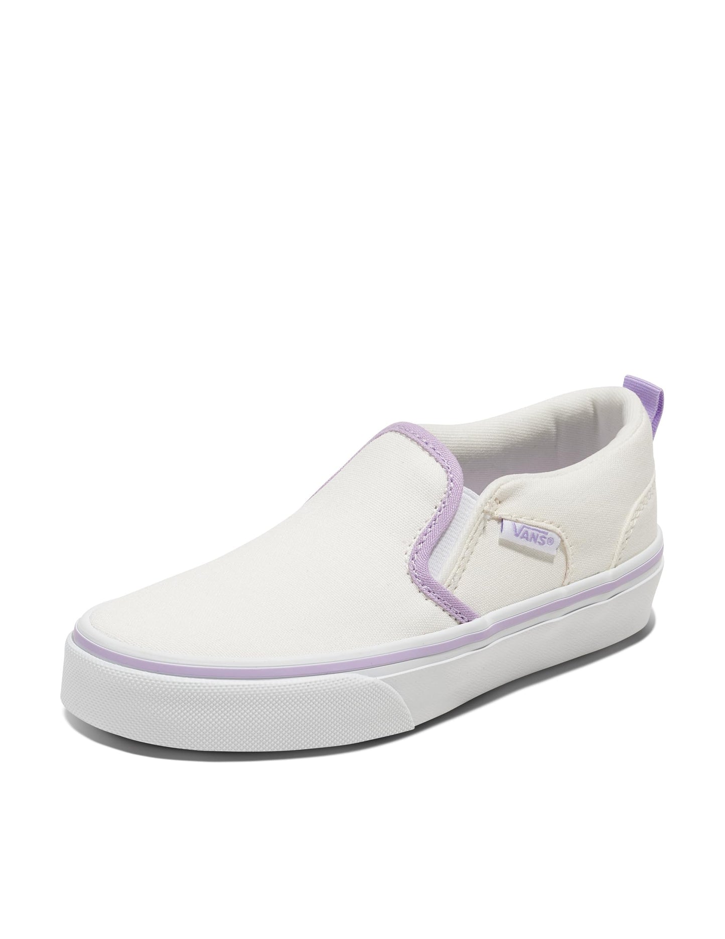 Vans Kids' Asher Slip-on Shoe