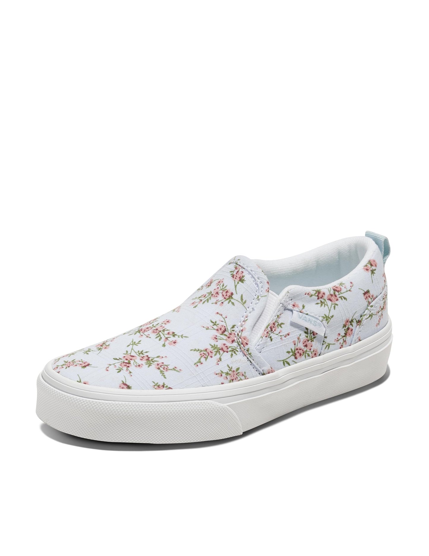 Vans Kids' Asher Slip-on Shoe