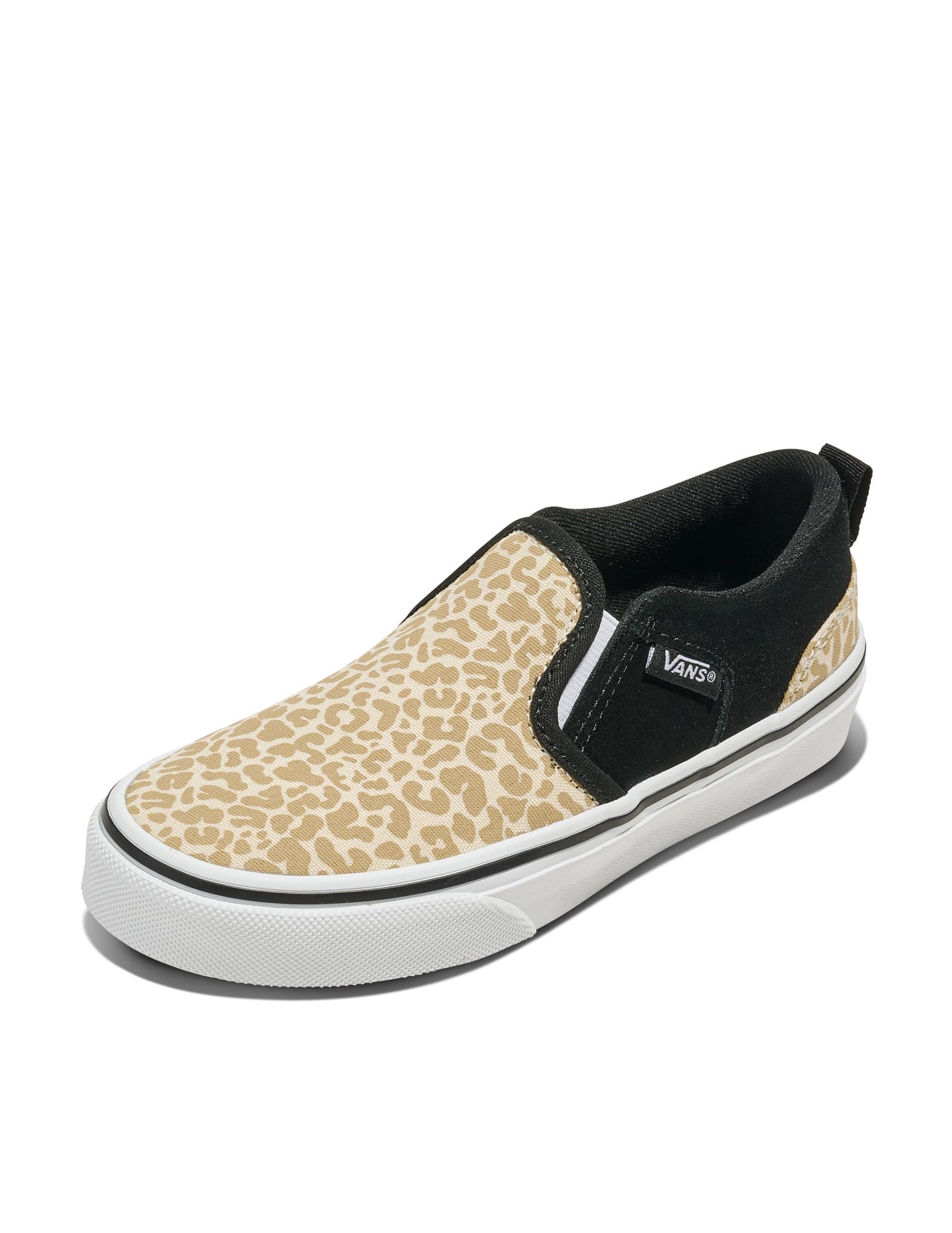 Vans Kids' Asher Slip-on Shoe