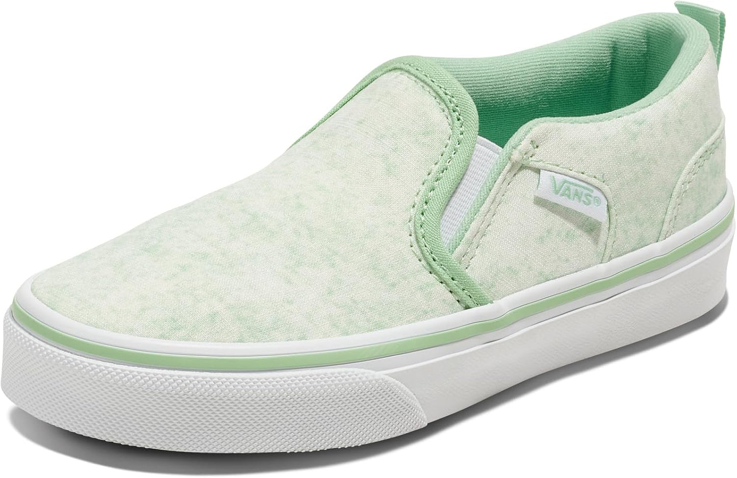 Vans Kids' Asher Slip-on Shoe