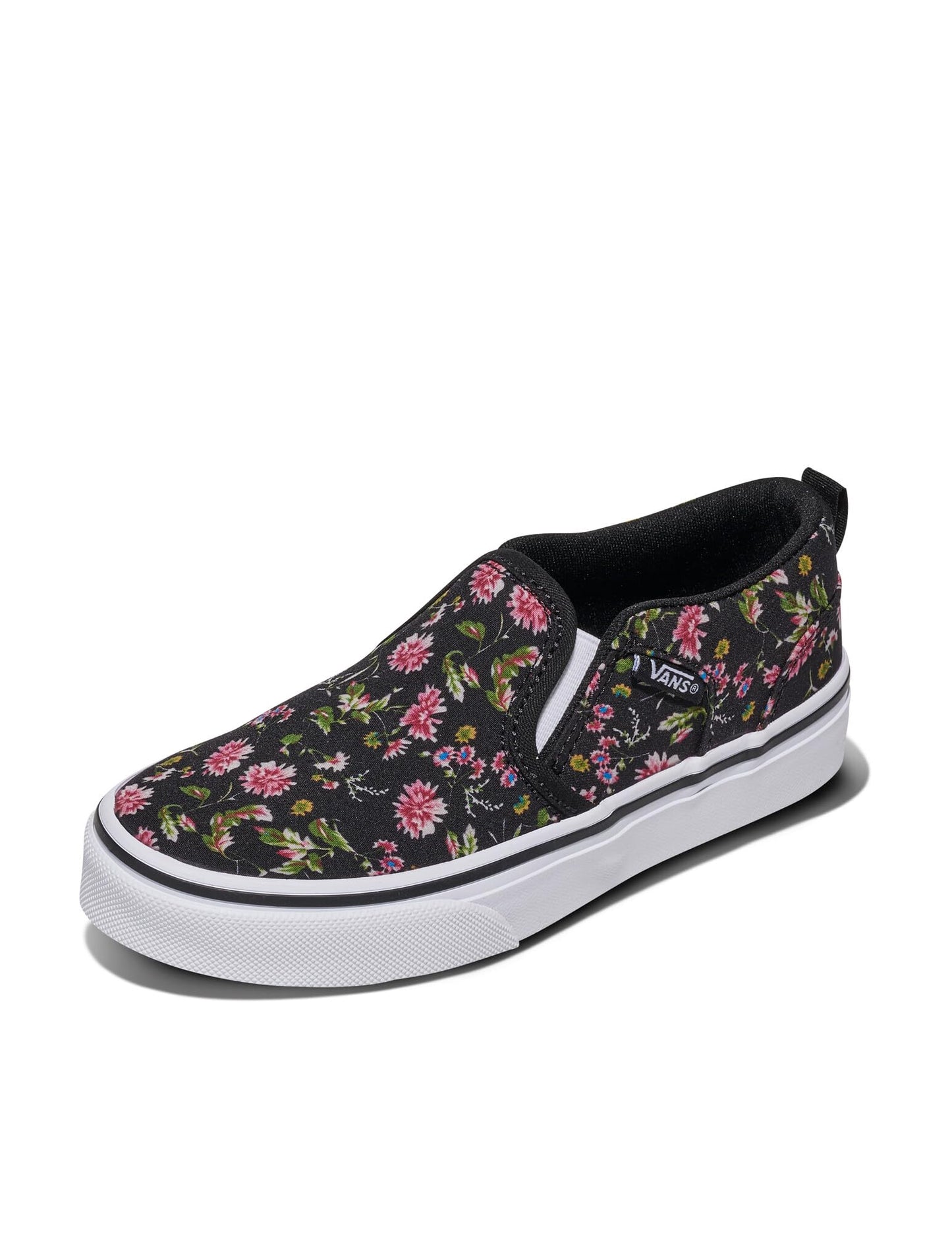 Vans Kids' Asher Slip-on Shoe