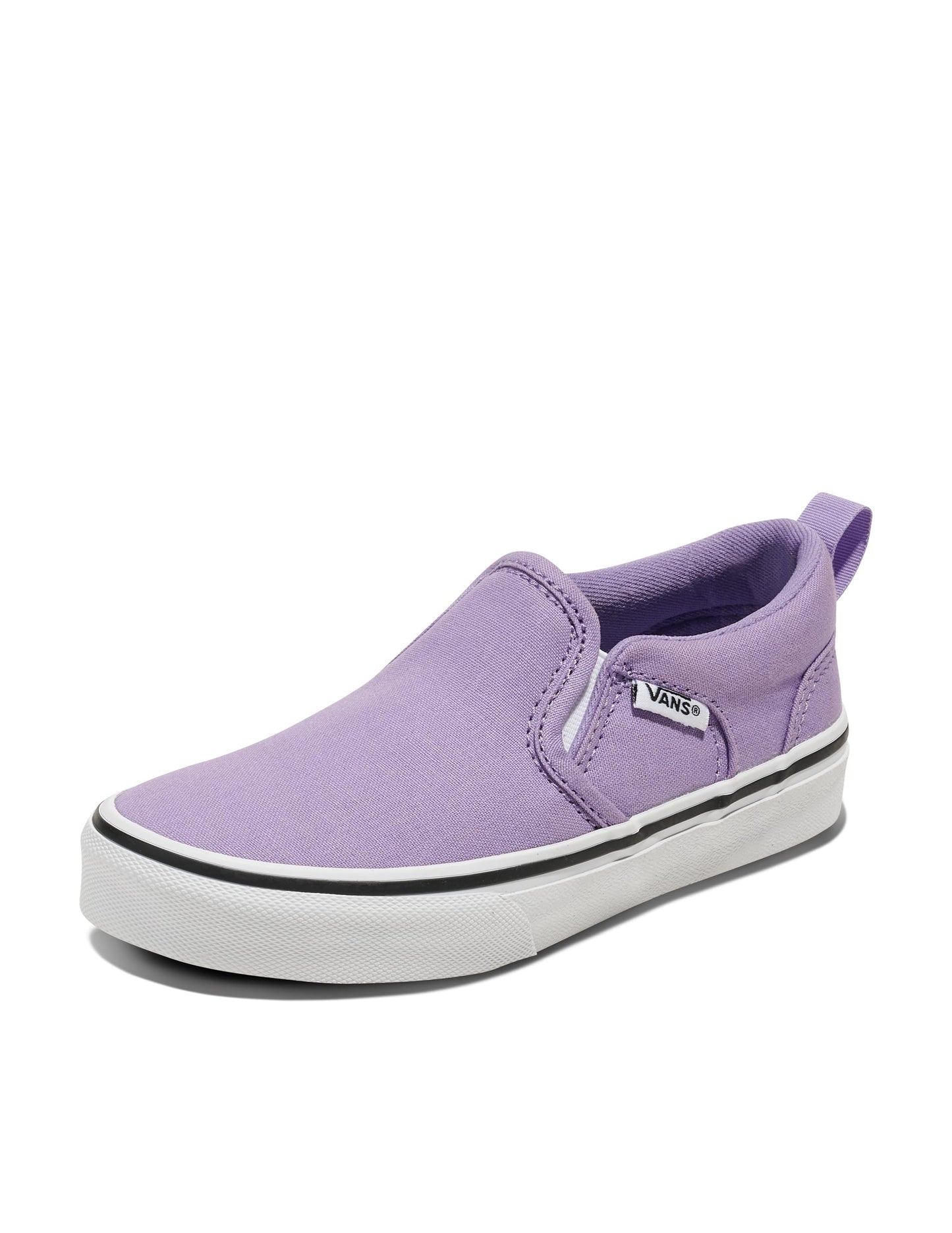 Vans Kids' Asher Slip-on Shoe
