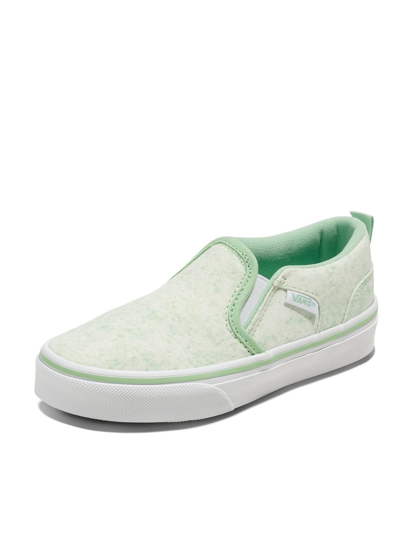 Vans Kids' Asher Slip-on Shoe
